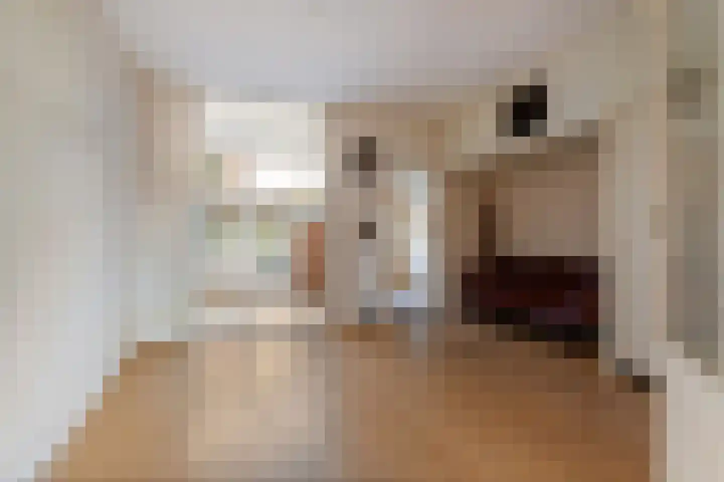 Johannes Camphuysstraat 61 Utrecht thumbnail 9