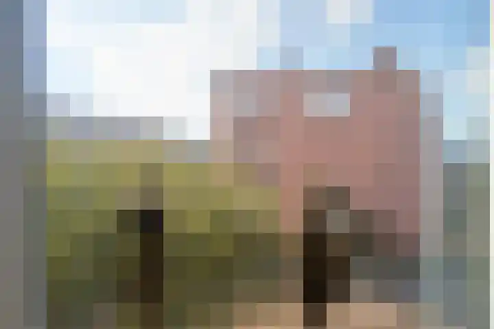 Johannes Camphuysstraat 9 A Utrecht thumbnail 20