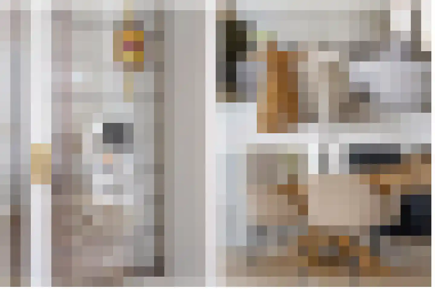 Johannes Camphuysstraat 9 Utrecht thumbnail 13