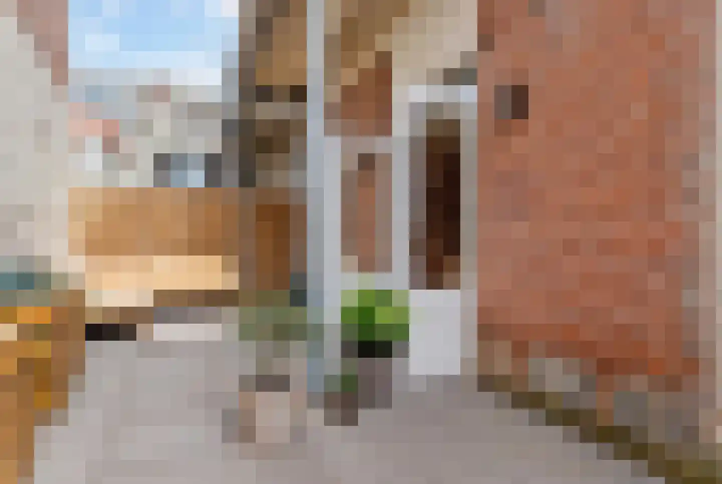 Johannes Camphuysstraat 9 Utrecht thumbnail 23