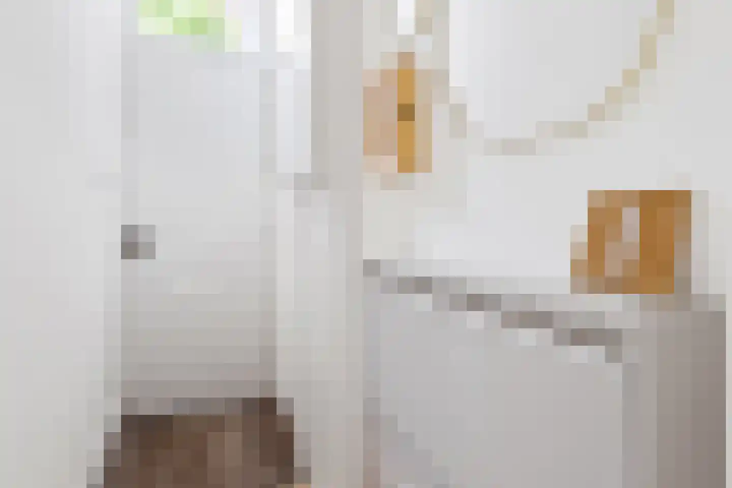 Johannes Camphuysstraat 9 Utrecht thumbnail 8