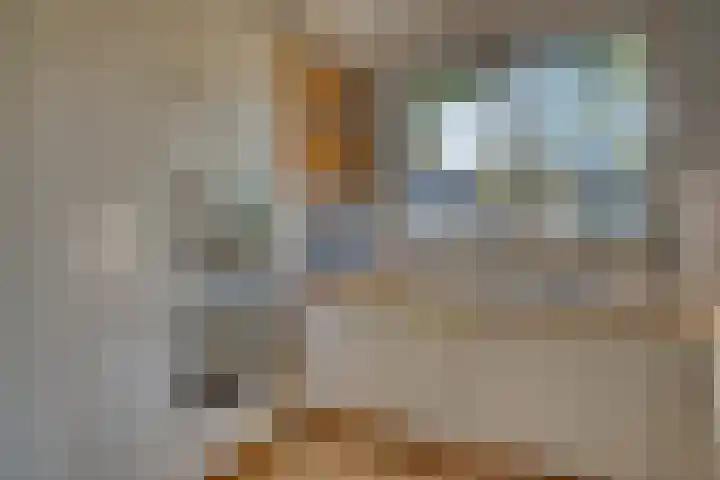 Johannes Chr. Bendorpstraat 17 Hendrik-Ido-Ambacht thumbnail 20