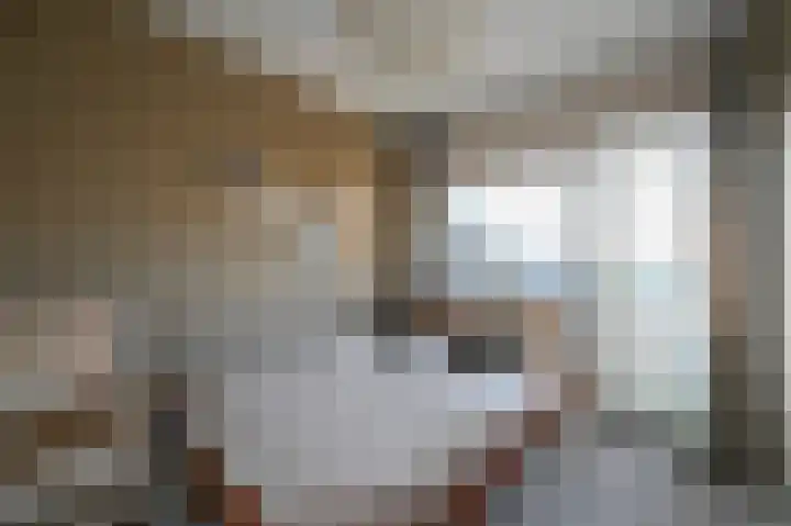 Johannes de Bekalaan 13 Voorburg thumbnail 13