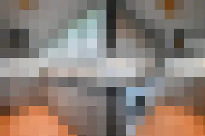 Johannes de Bekalaan 13 Voorburg thumbnail 16