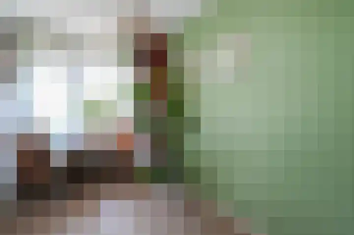 Johannes de Bekalaan 13 Voorburg thumbnail 19