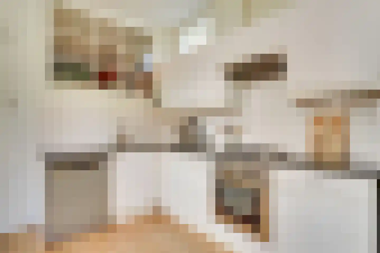 Johannes de Bekastraat 14 Utrecht thumbnail 14