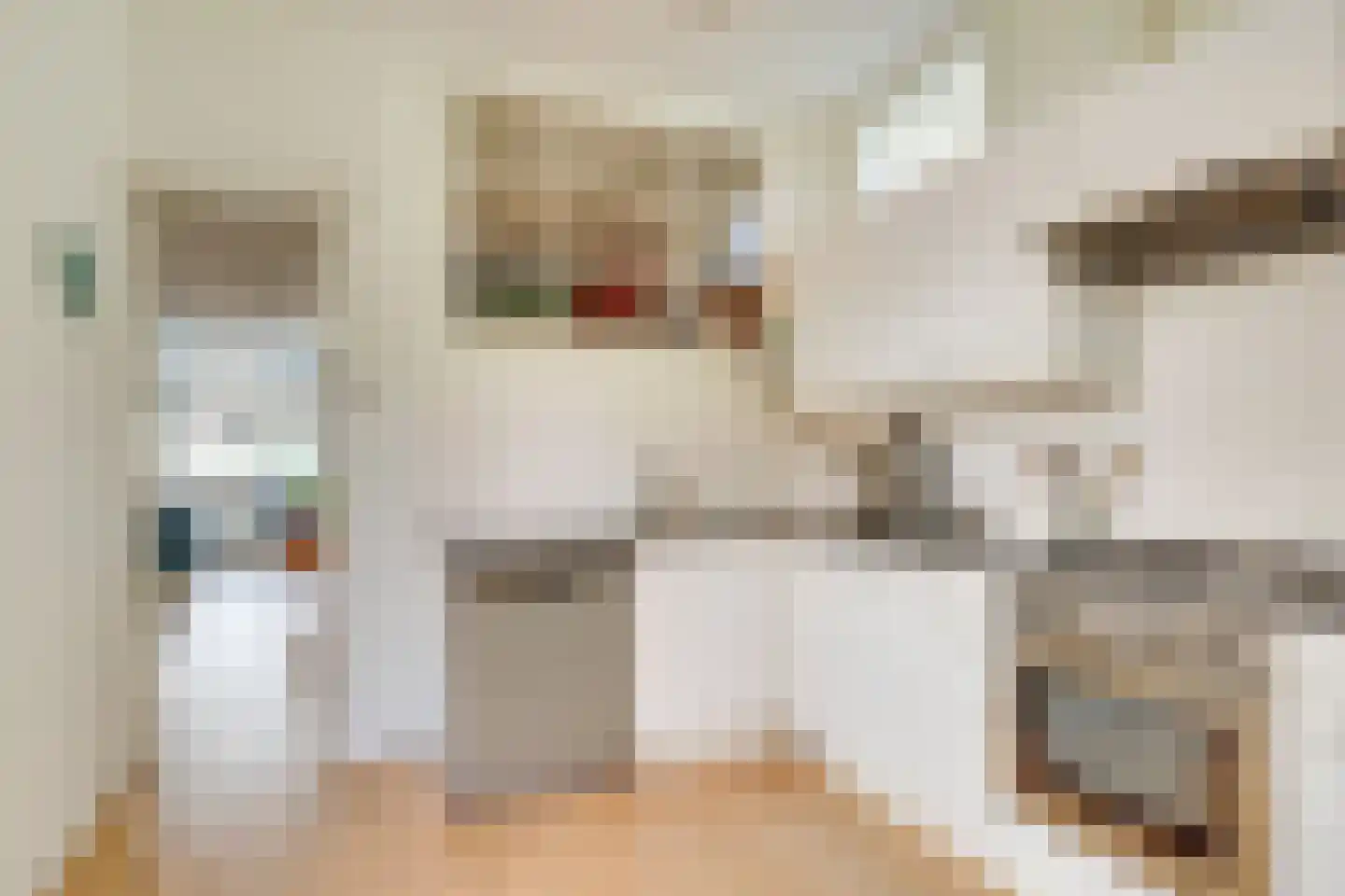 Johannes de Bekastraat 14 Utrecht thumbnail 15