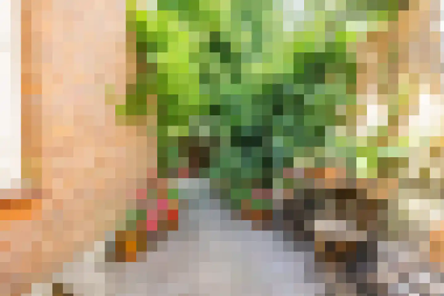 Johannes de Bekastraat 14 Utrecht thumbnail 28