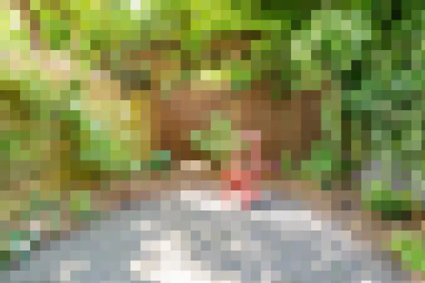 Johannes de Bekastraat 14 Utrecht thumbnail 32