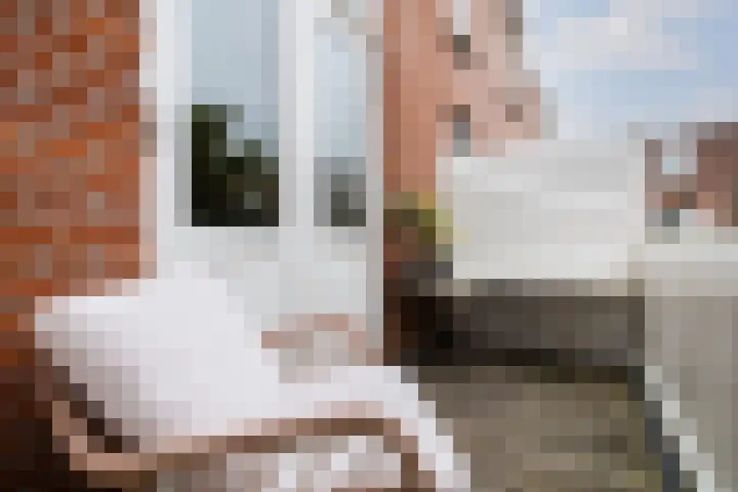 Johannes de Bekastraat 16 BS Utrecht thumbnail 22