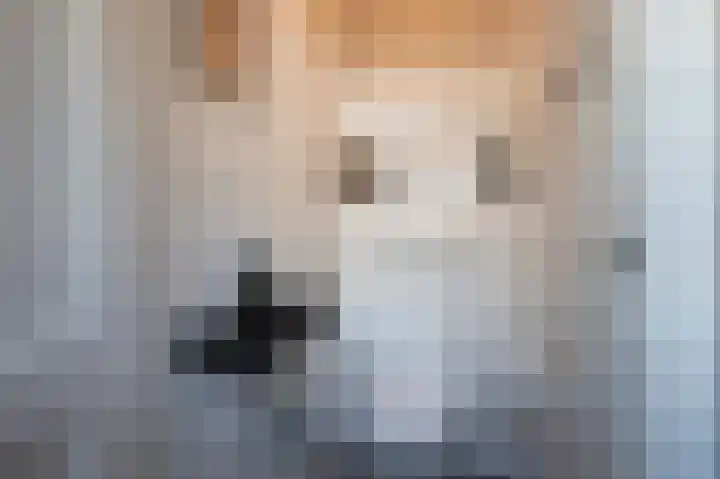 Johannes de Bekastraat 2 Utrecht thumbnail 15