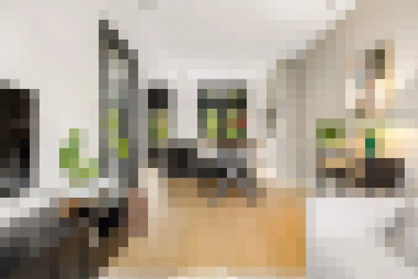 Johannes de Bekastraat 41 BS Utrecht thumbnail 11