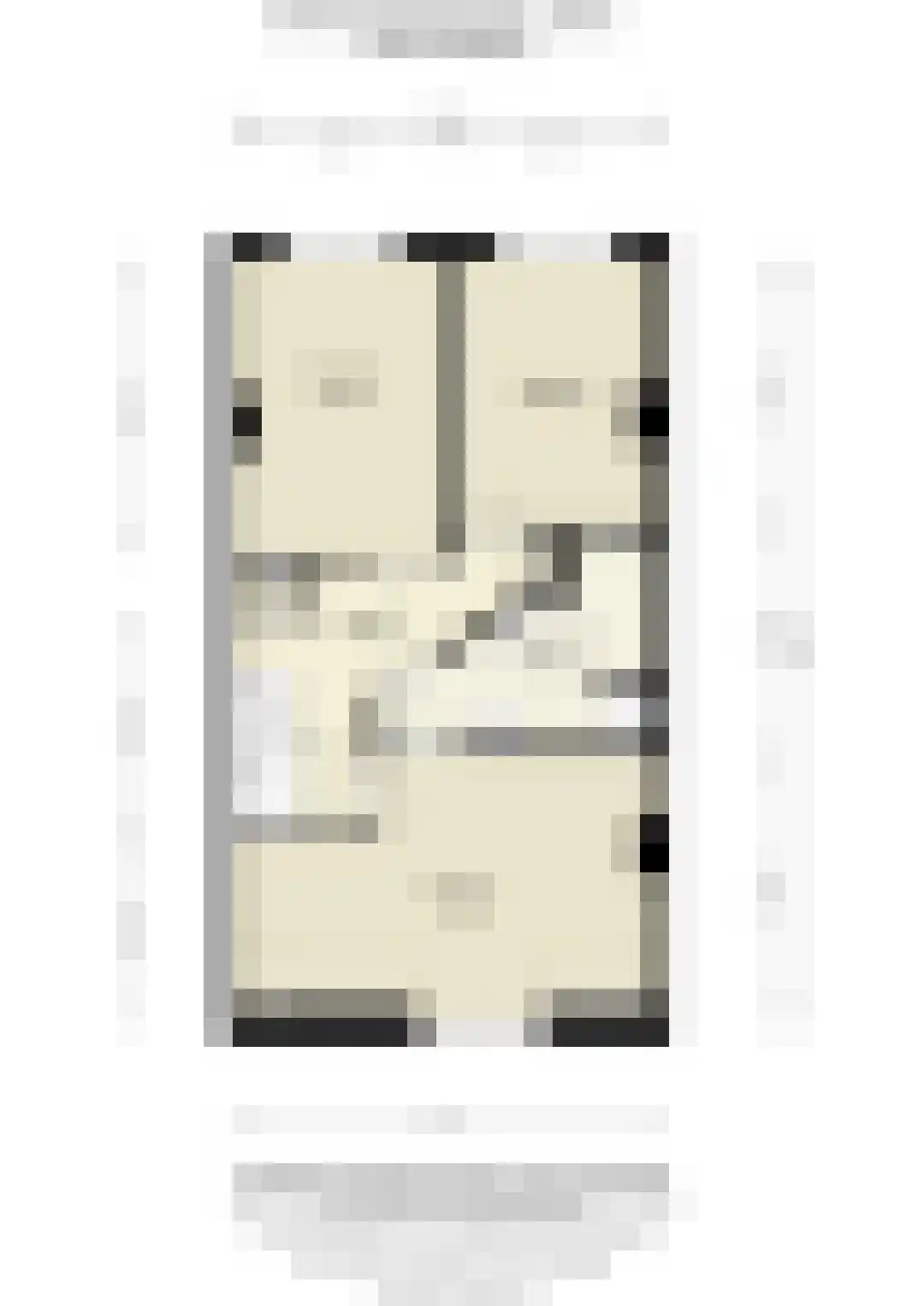 Johannes de Bekastraat 41 BS Utrecht thumbnail 38