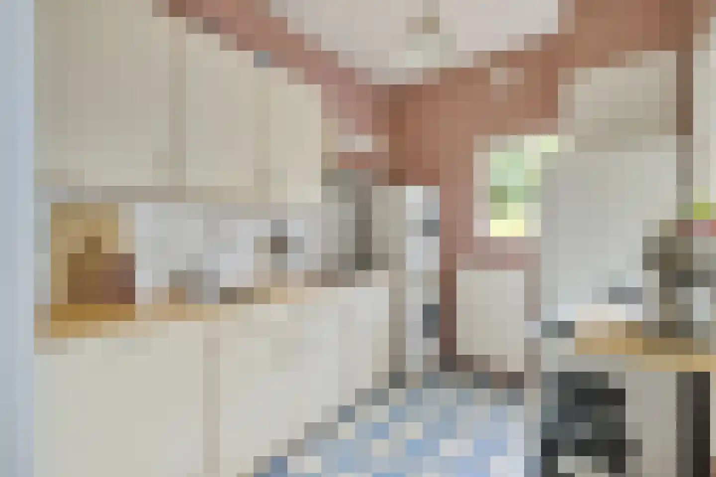 Johannes de Bekastraat 41 Utrecht thumbnail 24