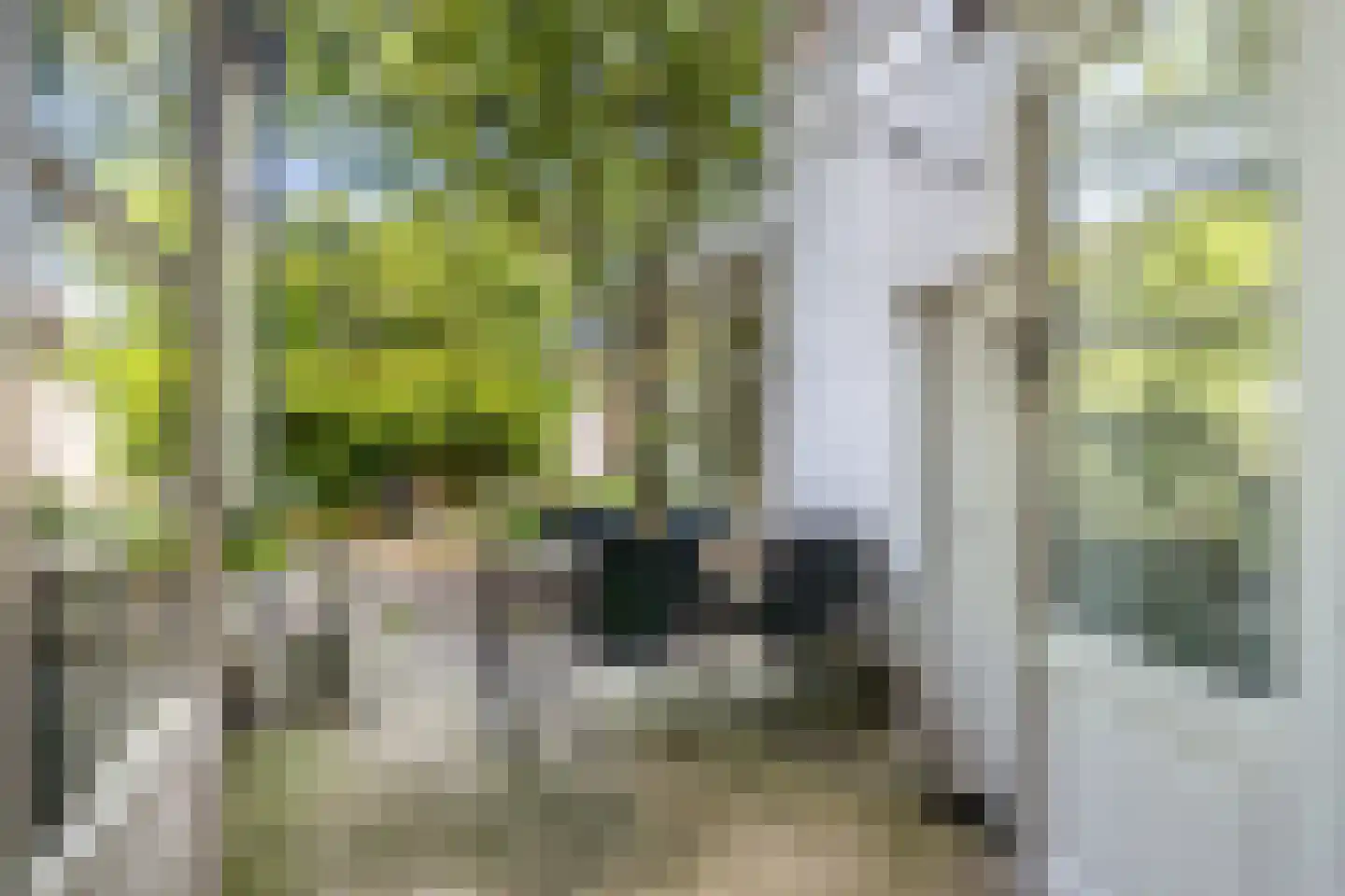 Johannes de Bekastraat 41 Utrecht thumbnail 32