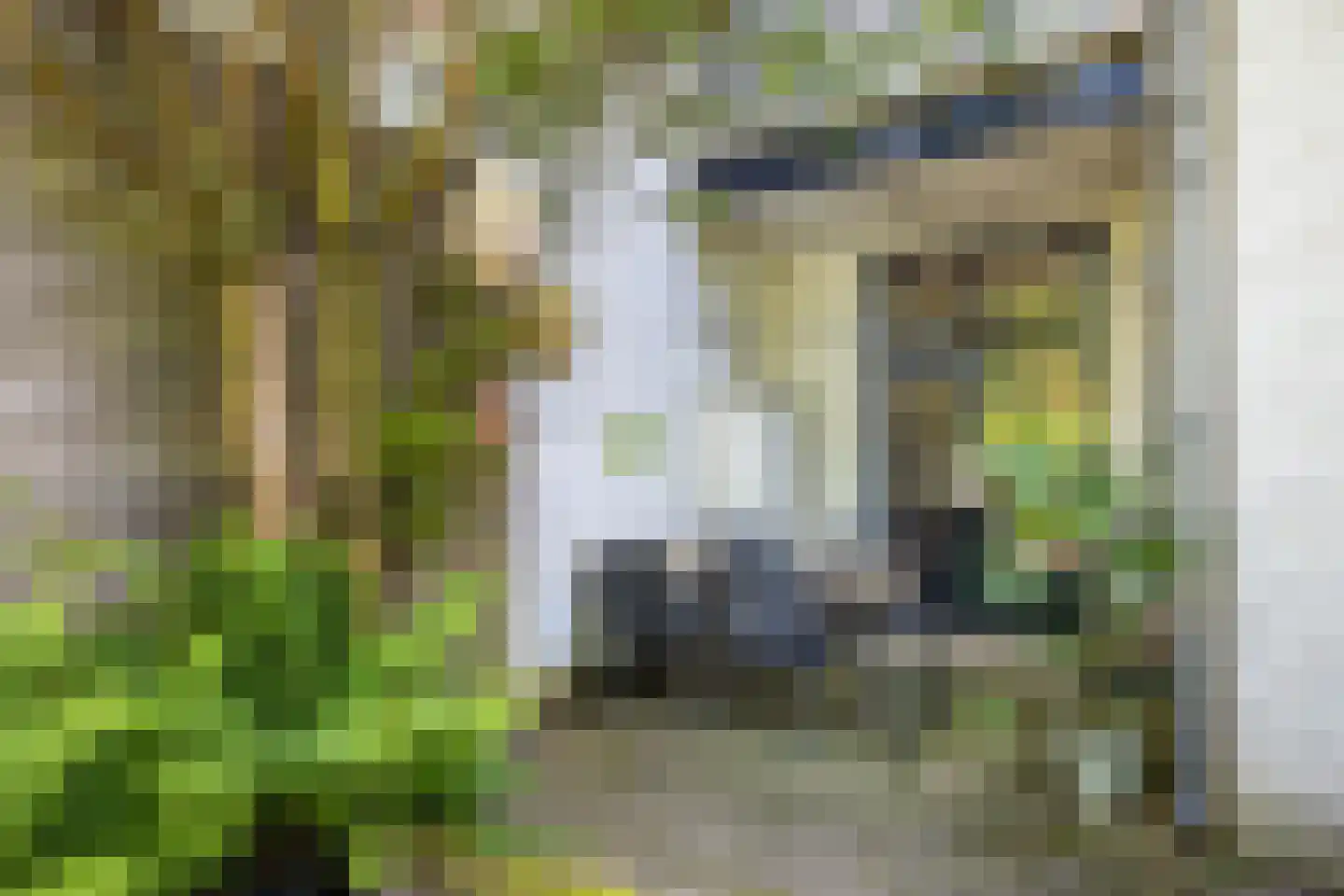 Johannes de Bekastraat 41 Utrecht thumbnail 35