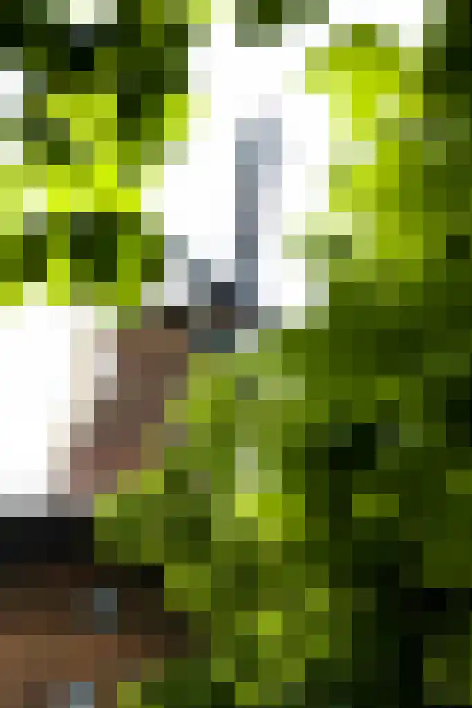 Johannes de Bekastraat 59 Utrecht thumbnail 22