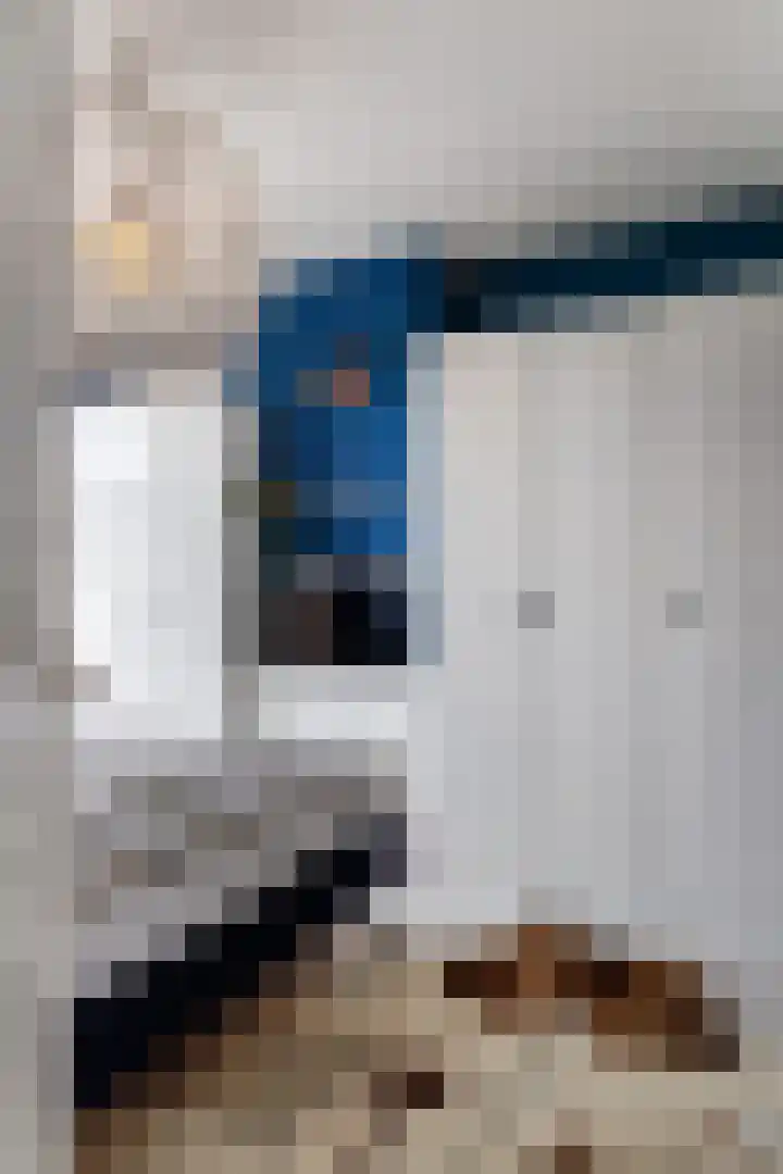 Johannes de Bekastraat 8 Utrecht thumbnail 21