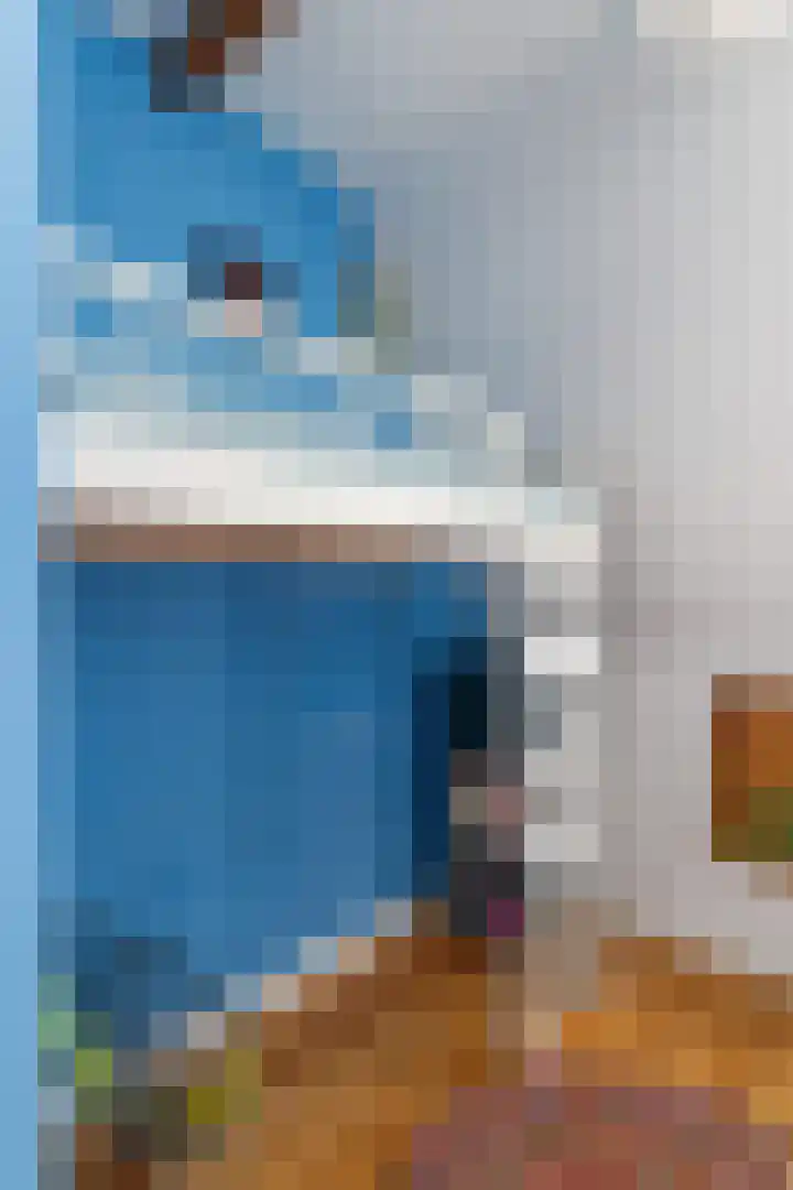 Johannes de Bekastraat 8 Utrecht thumbnail 32