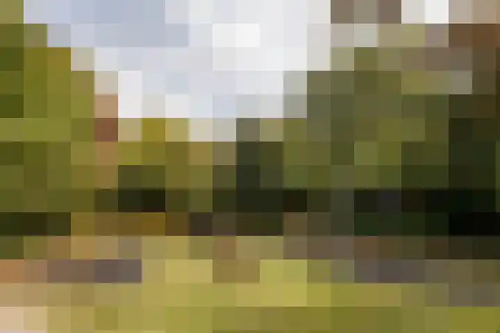 Johannes de Bekastraat 8 Utrecht thumbnail 38