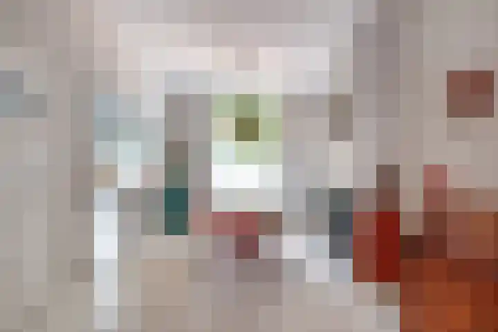 Johannes de Bekastraat 8 Utrecht thumbnail 7