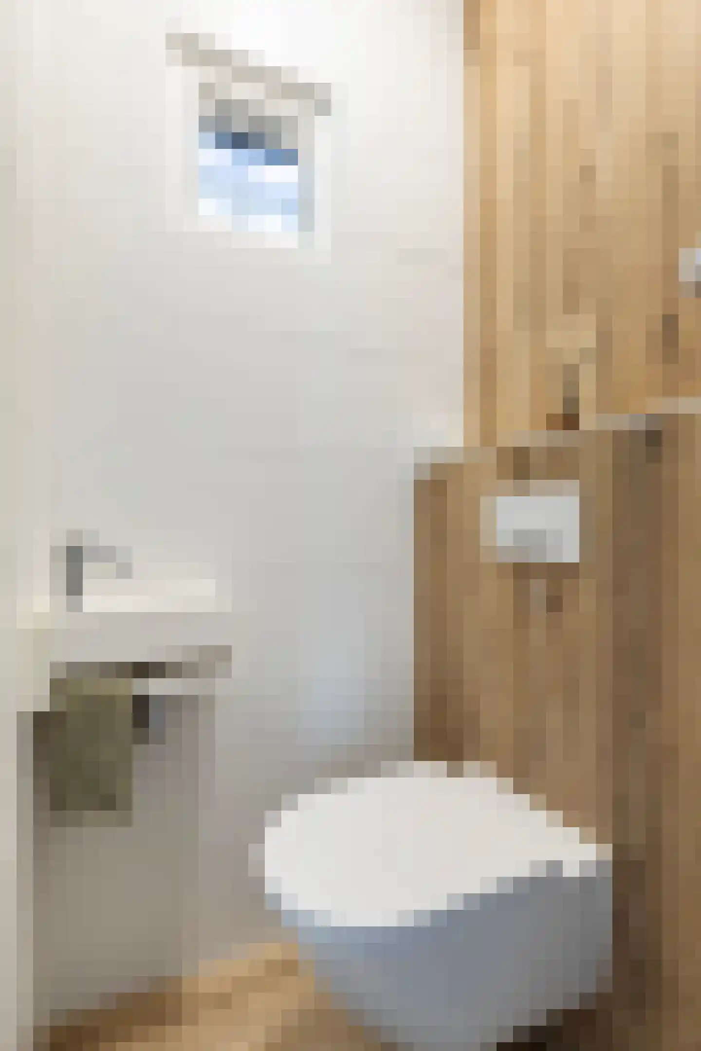 Johannes Doornbosstrjitte 4 Blije thumbnail 10