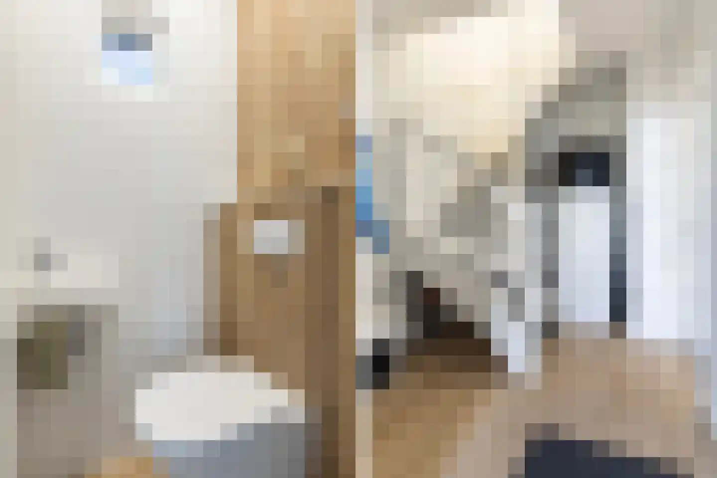 Johannes Doornbosstrjitte 4 Blije thumbnail 11