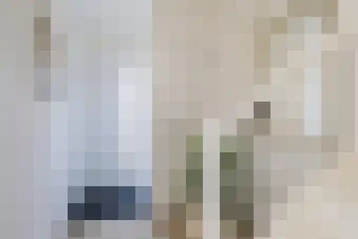 Johannes Doornbosstrjitte 4 Blije thumbnail 11