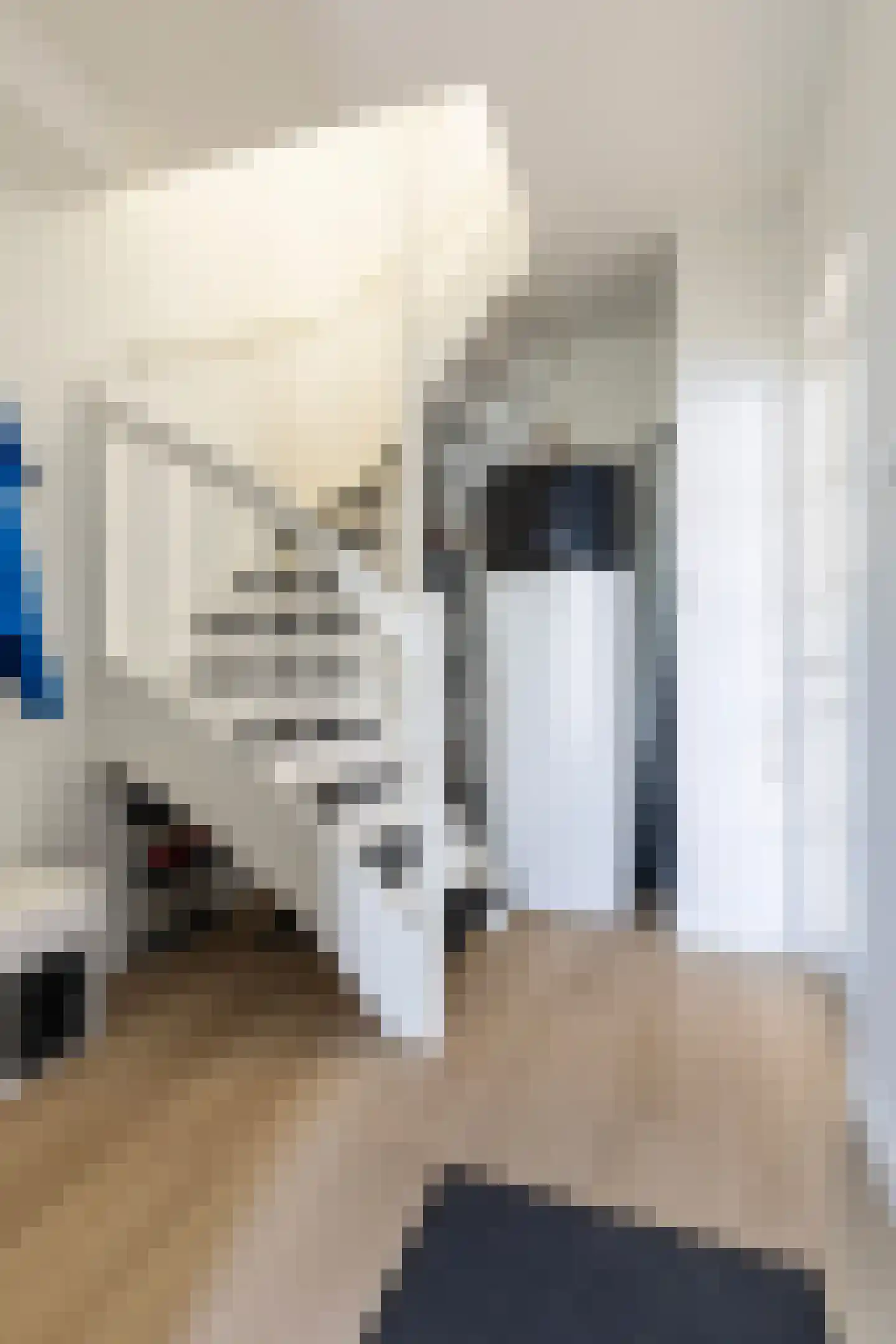Johannes Doornbosstrjitte 4 Blije thumbnail 12