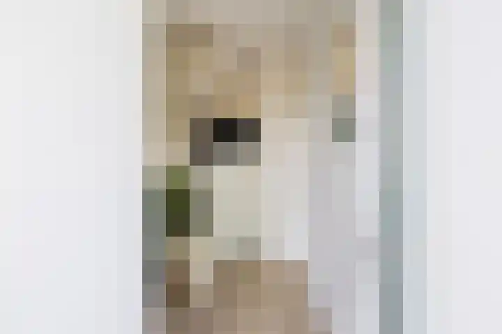 Johannes Doornbosstrjitte 4 Blije thumbnail 12