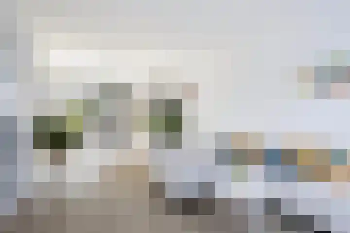 Johannes Doornbosstrjitte 4 Blije thumbnail 14