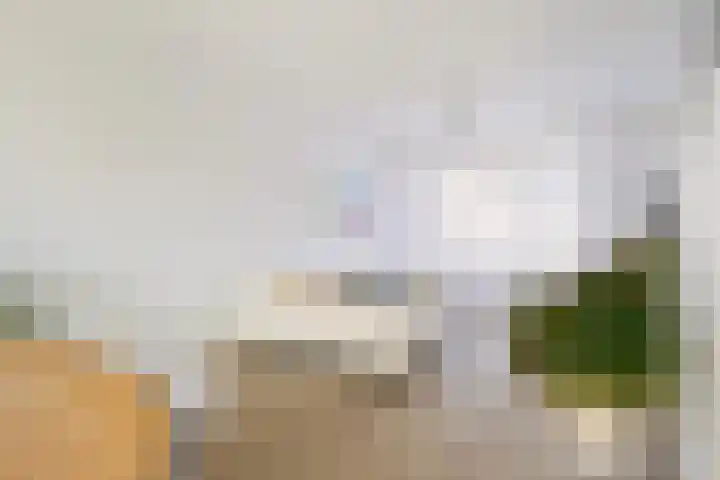 Johannes Doornbosstrjitte 4 Blije thumbnail 16