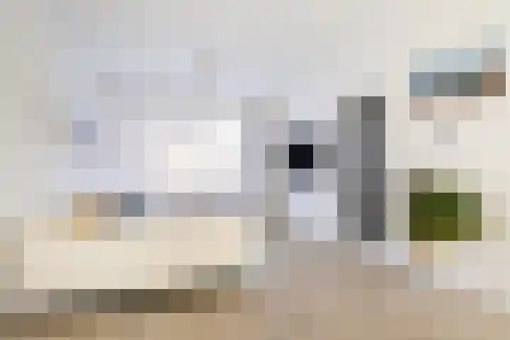 Johannes Doornbosstrjitte 4 Blije thumbnail 17