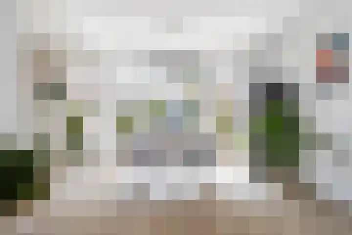 Johannes Doornbosstrjitte 4 Blije thumbnail 18