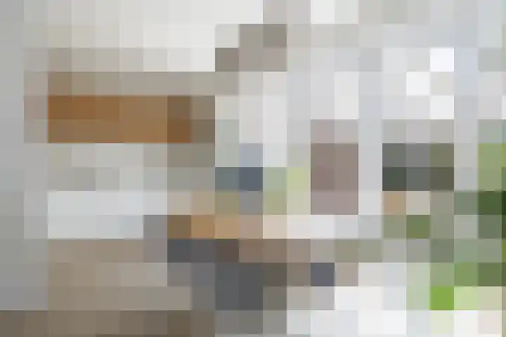 Johannes Doornbosstrjitte 4 Blije thumbnail 19