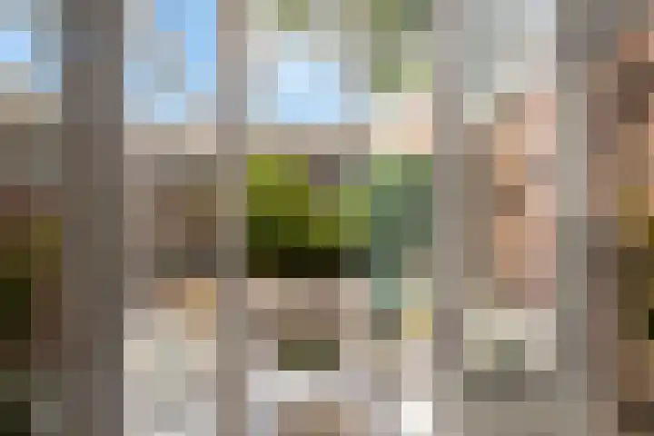 Johannes Doornbosstrjitte 4 Blije thumbnail 20