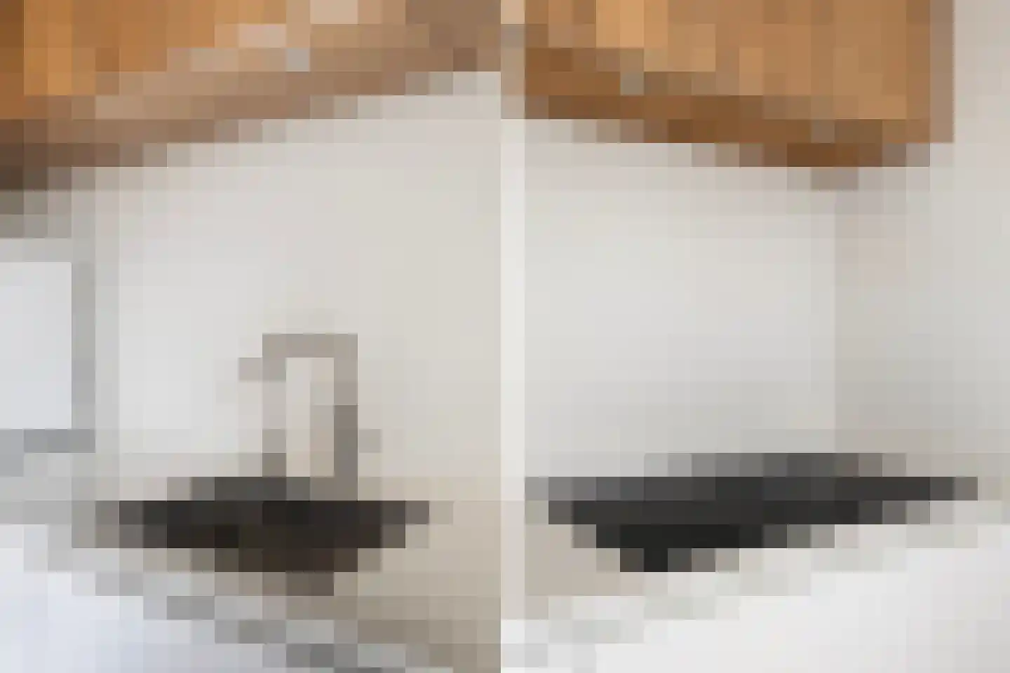 Johannes Doornbosstrjitte 4 Blije thumbnail 21