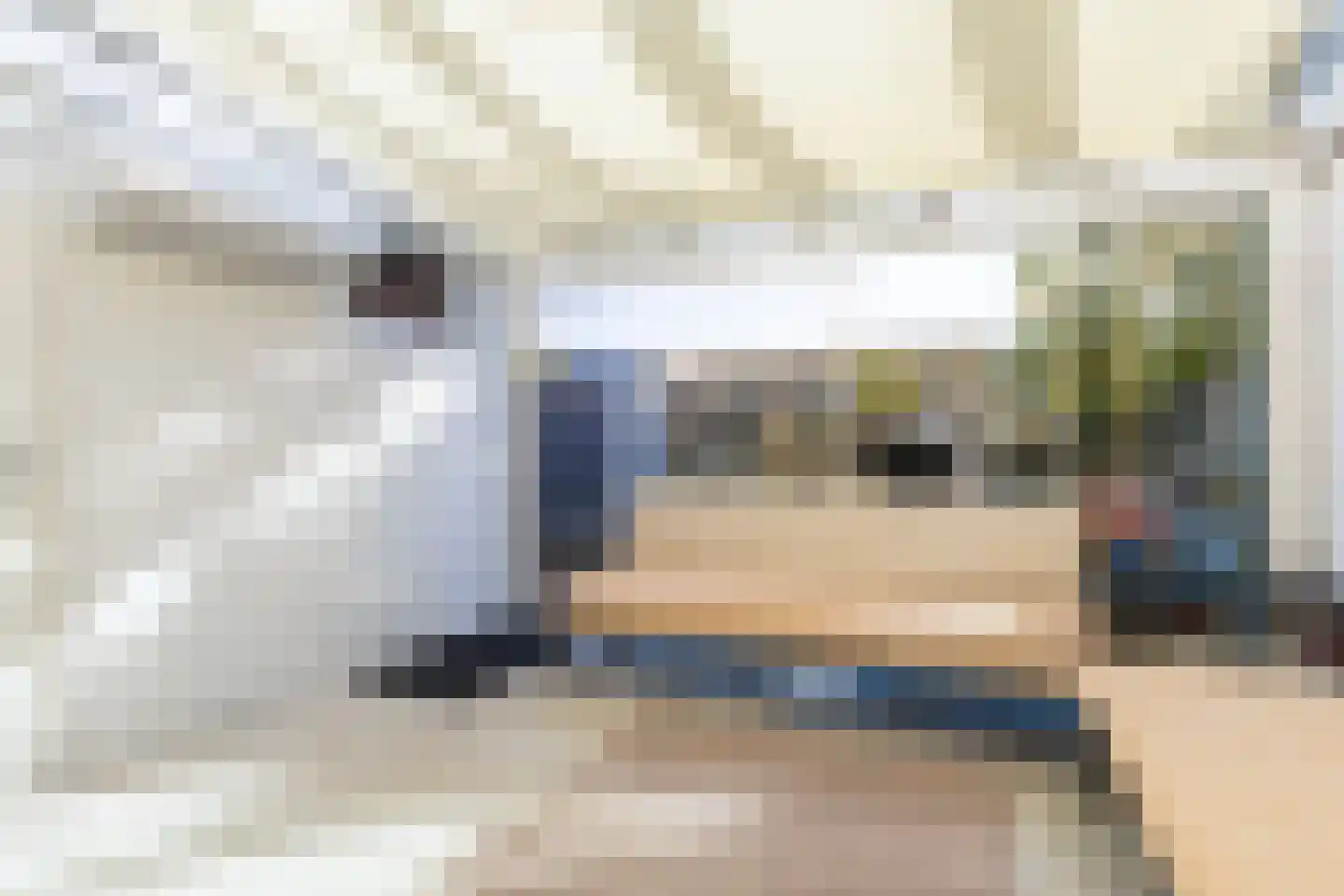 Johannes Doornbosstrjitte 4 Blije thumbnail 22