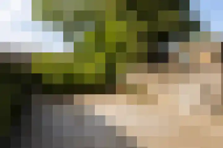 Johannes Doornbosstrjitte 4 Blije thumbnail 22