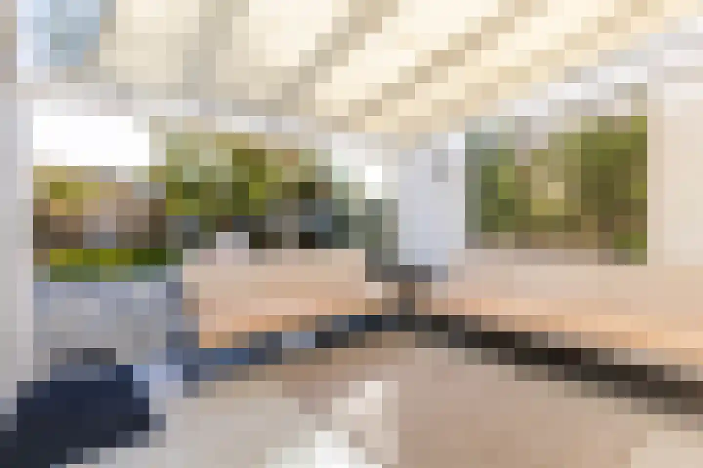 Johannes Doornbosstrjitte 4 Blije thumbnail 23