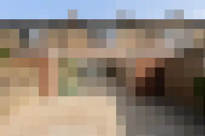 Johannes Doornbosstrjitte 4 Blije thumbnail 23
