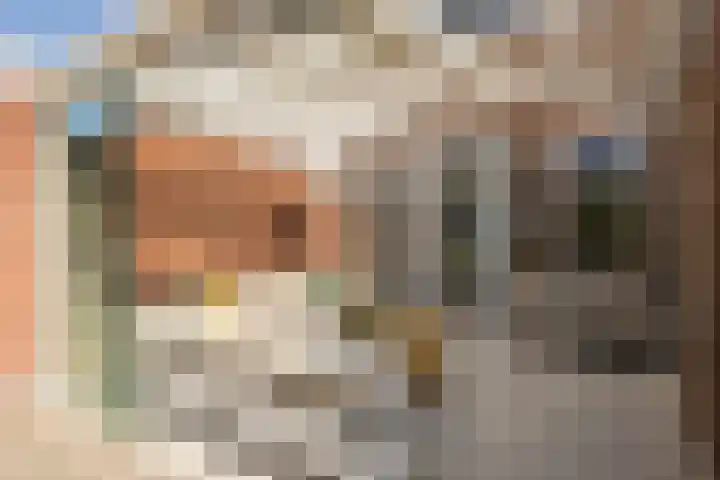 Johannes Doornbosstrjitte 4 Blije thumbnail 24