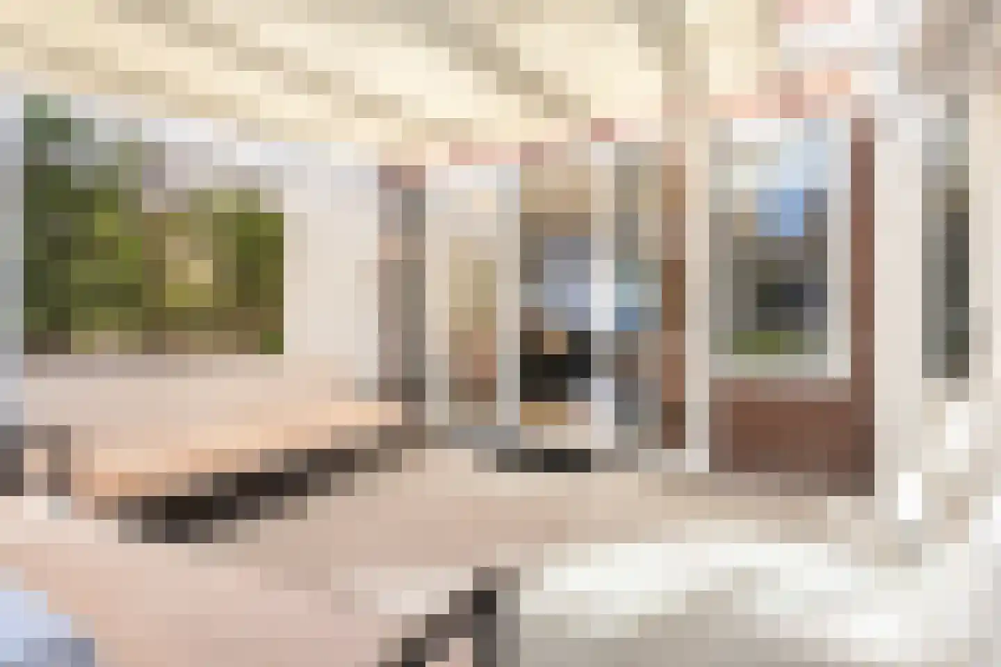 Johannes Doornbosstrjitte 4 Blije thumbnail 24