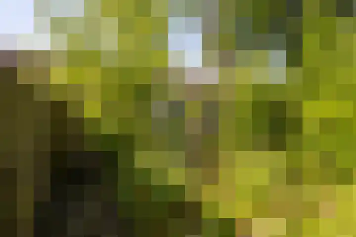Johannes Doornbosstrjitte 4 Blije thumbnail 27