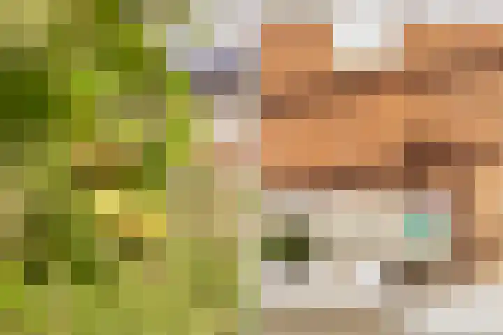 Johannes Doornbosstrjitte 4 Blije thumbnail 28