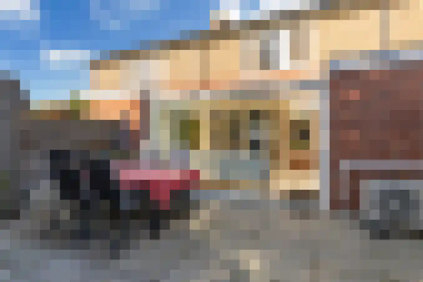 Johannes Doornbosstrjitte 4 Blije thumbnail 28