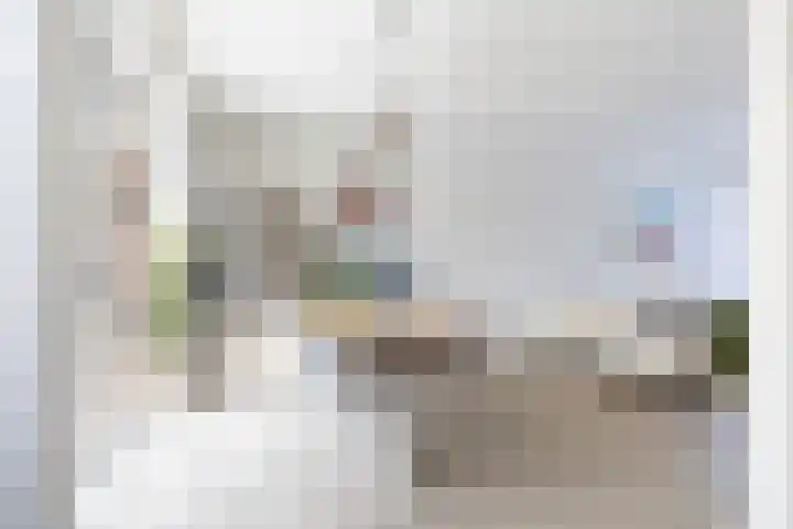 Johannes Doornbosstrjitte 4 Blije thumbnail 29
