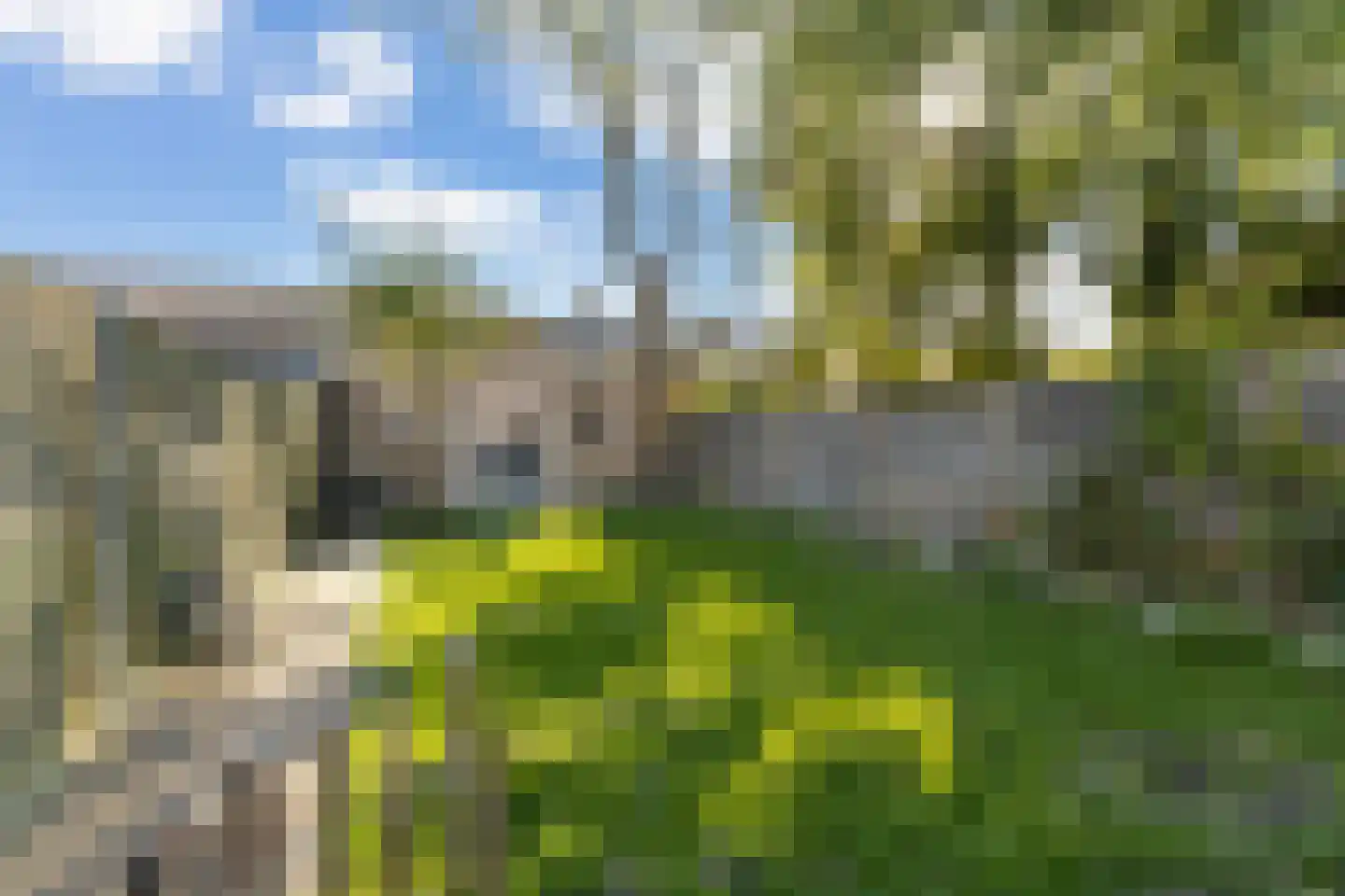 Johannes Doornbosstrjitte 4 Blije thumbnail 32