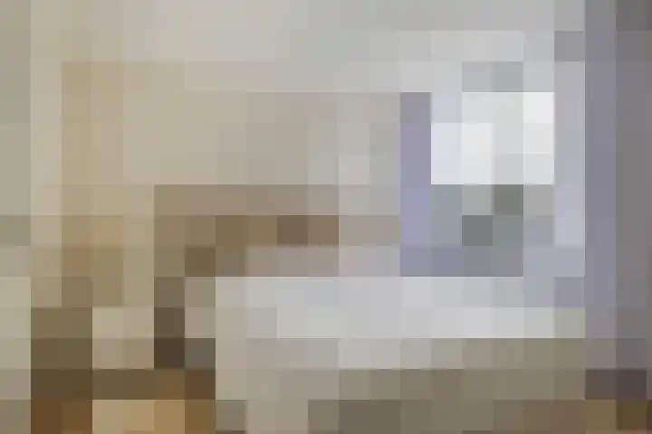 Johannes Doornbosstrjitte 4 Blije thumbnail 36