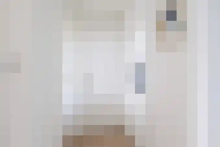 Johannes Doornbosstrjitte 4 Blije thumbnail 39